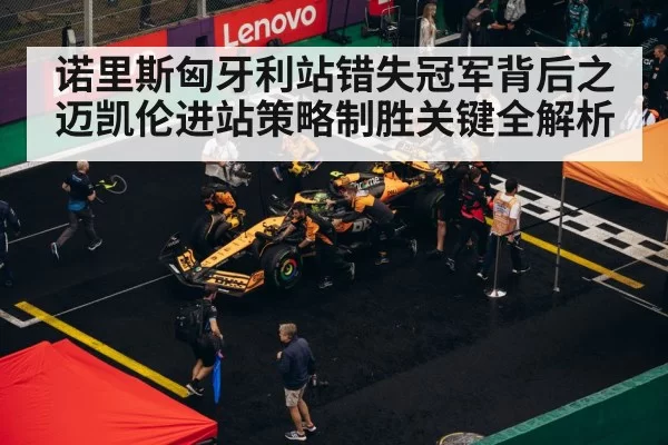 F1 pit stop strategy - hth