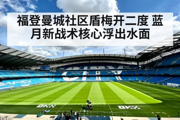 Manchester City tactical formation - hth