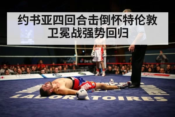 boxing knockout